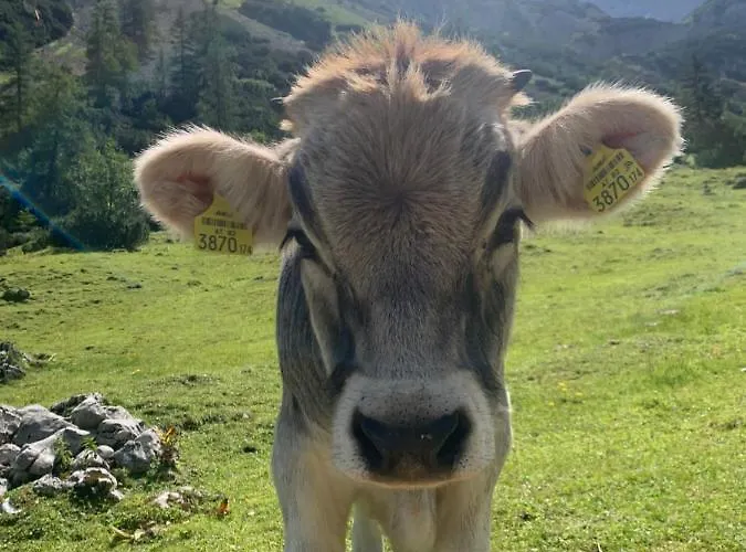 Rittersstuben * 加爾米施-帕滕基興